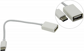 KS-is (KS-297) Переходник USB AF--)USB-C  M OTG